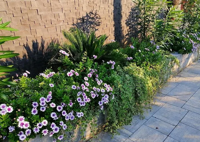 Nerina Σπίτι διακοπών *